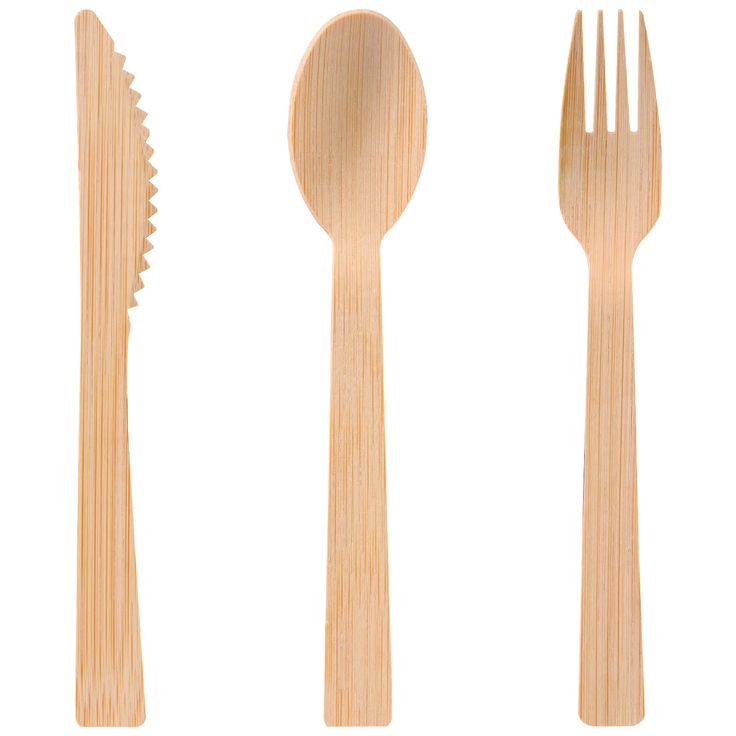 Disposable Tableware 2